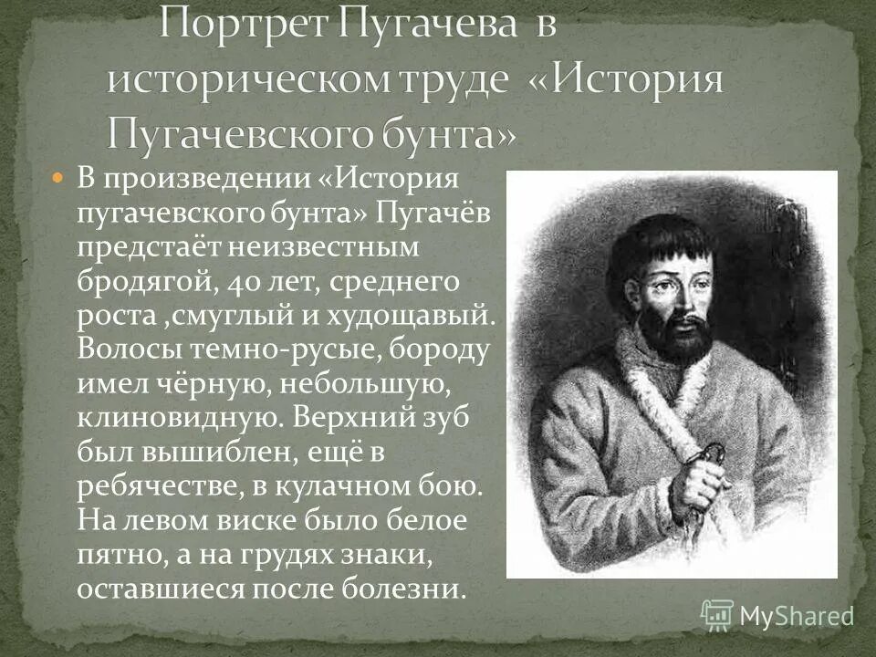 Портрет Емельяна Пугачева. Характеристика Емельяна пугачёва в истории пугачёвского бунта. Портрет Пугачева в капитанской дочке.