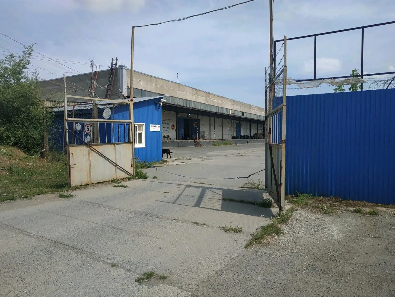 Kolesa Darom, tire service, Tyumen, ulitsa Chekistov, 25А - Yandex Maps