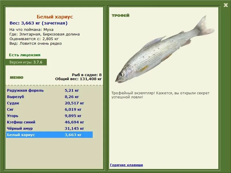 белый байкальский хариус реальная рыбалка