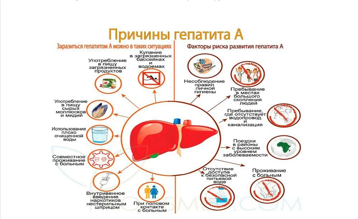 Молоко при гепатите. Факторы заражения гепатитом в. Как заболевают вирусным гепатитом. Гепатит с как передается. Факторы заражения вирусного гепатита в.