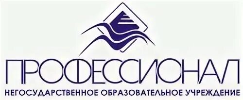 Профессионал г