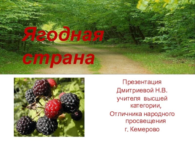 Садовые ягоды названия. Назови ласково ягоды. Презентация на тему ягоды. Презентация ягоды подготовительная группа. Презентация на тему ягоды.