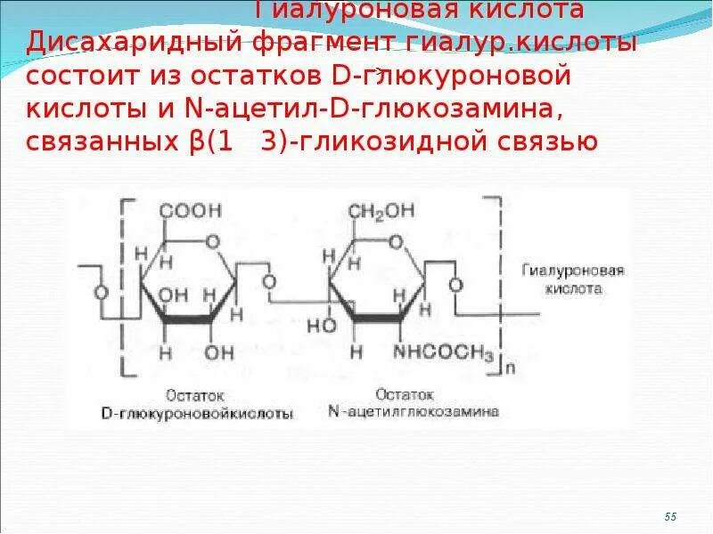 Гиалур кислота. Глюкуроновая кислота. гликозидные связи в гиалуроновой кислоте. строение n ацетил d глюкозамина.