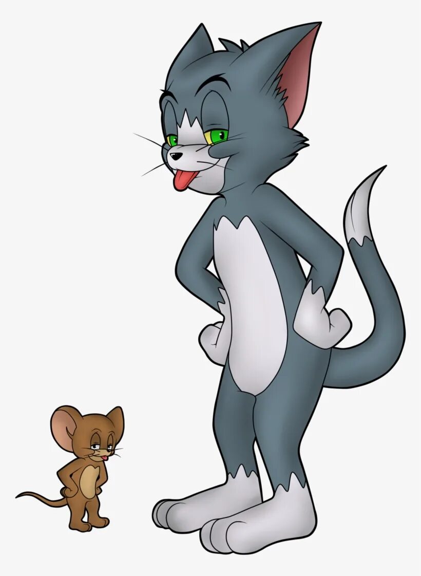 Tom and Jerry. Tom and Jerry Tom. Том (персонаж). Том из мультика. Три джерри