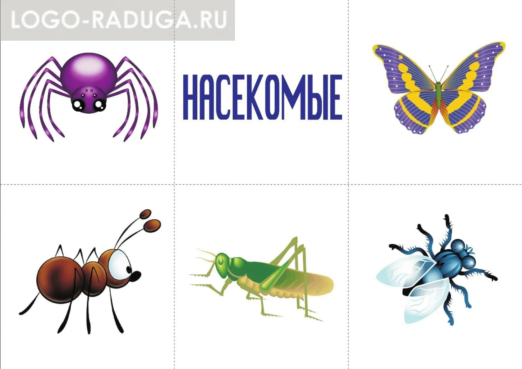 Овощи и фрукты для детей. Rkfccbabrfwbzдля дошкольников. Насекомые. Карточки с изображением деревьев. Карточки обобщающие слова.