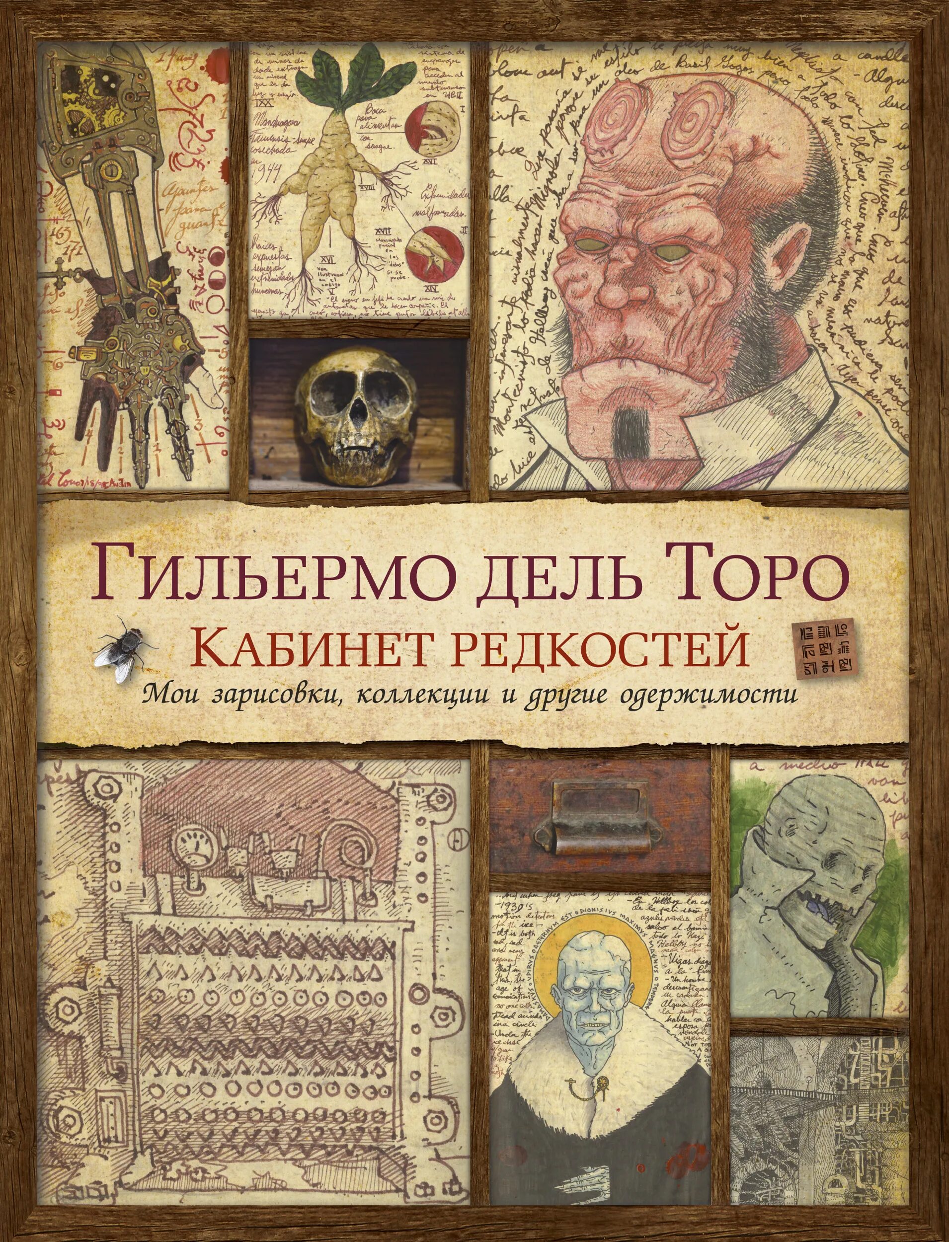 Кабинет редкрстей Гилермо дель Торро. Кабинет редкостей Гильмеро де ооро. Кабинет редкостей Гильермо дель Торо (2022). Редкость книги