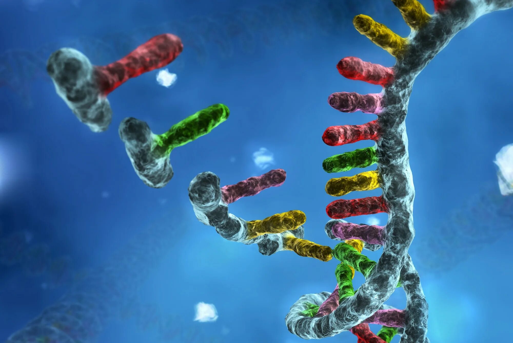 Живая клетка днк. Мутационная ДНК. Ген recql2. Клетка ДНК. Молекула ДНК.