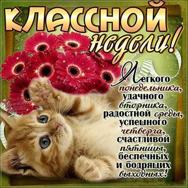 Красивые картинки доброй недели хорошего дня Pin by Инна Кириленко on Дни недели Good morning, Glassware, Mugs