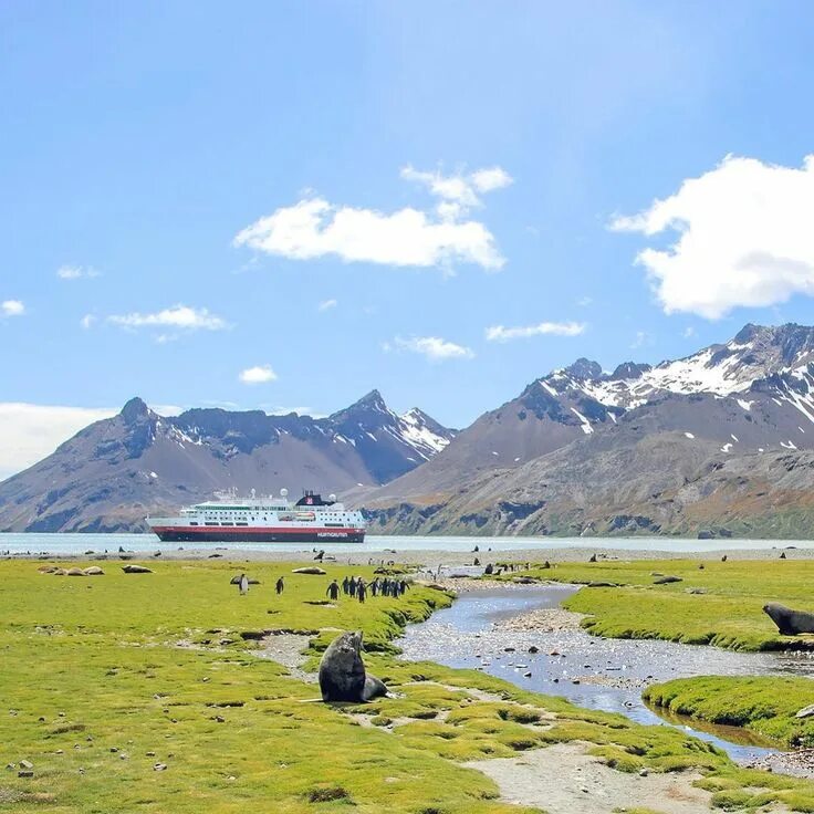 Handmade надпись. Pinot noir 2018 юар. Йеландс мальборо совиньон блан. Вино septimania pinot noir 0,75 л. Вино ле гран нуар шардоне белое сухое.