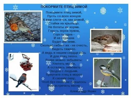 Почему остаемся зимовать