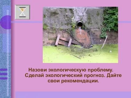 Экологический прогноз