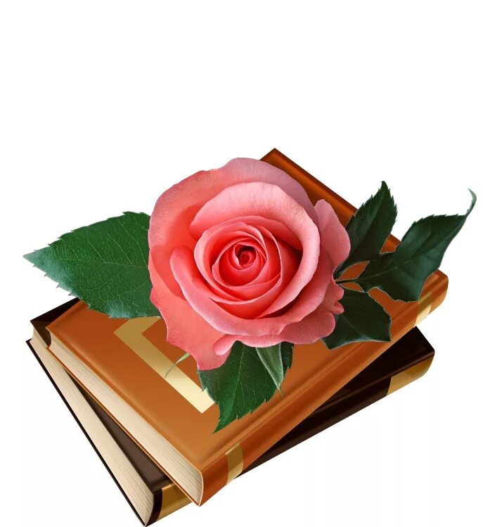 Торт книга на юбилей. День рождения книги картинки. День рождения книги картинки. Книги юбиляры. День рождения книги картинки.