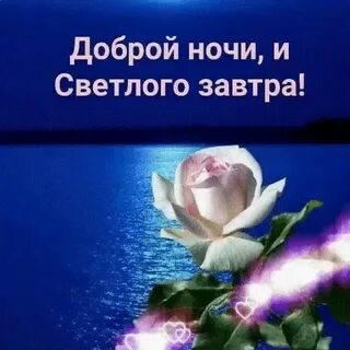 Ночь светла доброй ночи