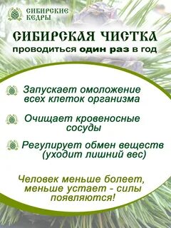 Сибирский очищающий