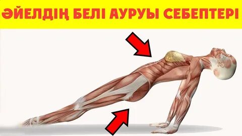 Қынаптың жақыннан жасалған тегін фотосуреттері