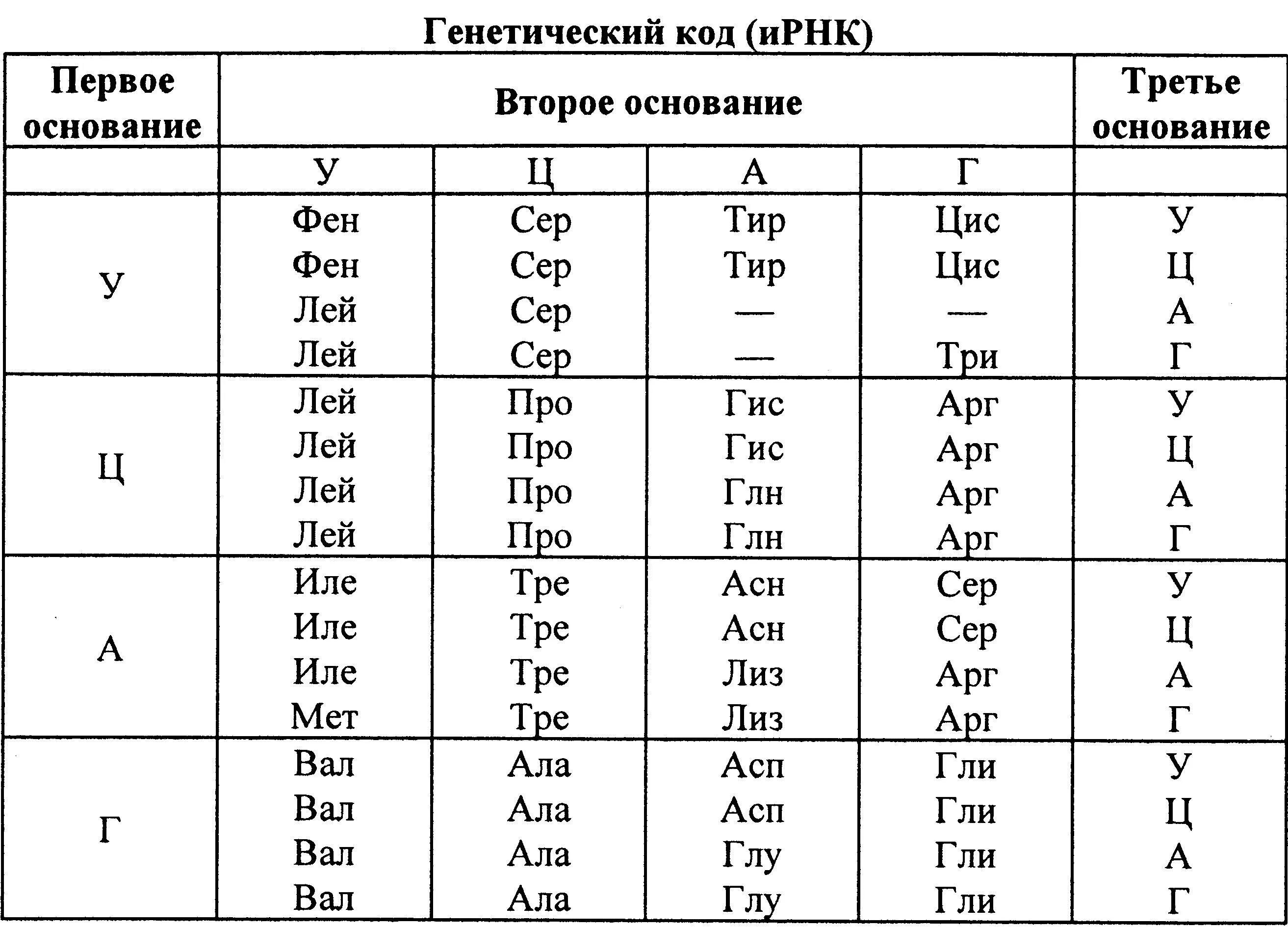 Определите последовательность нуклеотидов комплементарной цепи