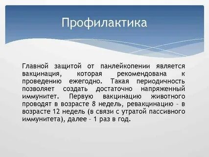 Главная защита