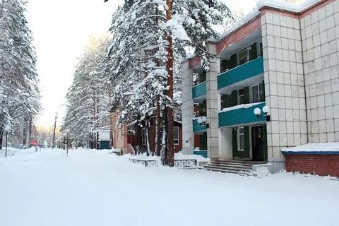 Сосновый бор пермь
