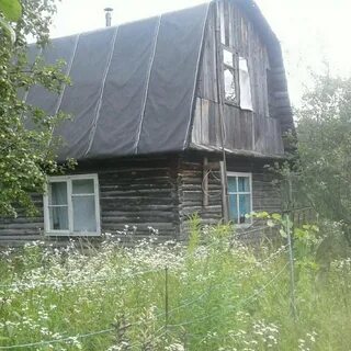 Погода в кудеевке