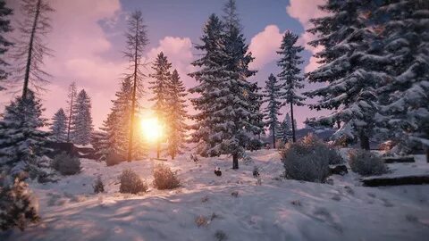 Dreamrust