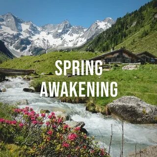 Spring awakening