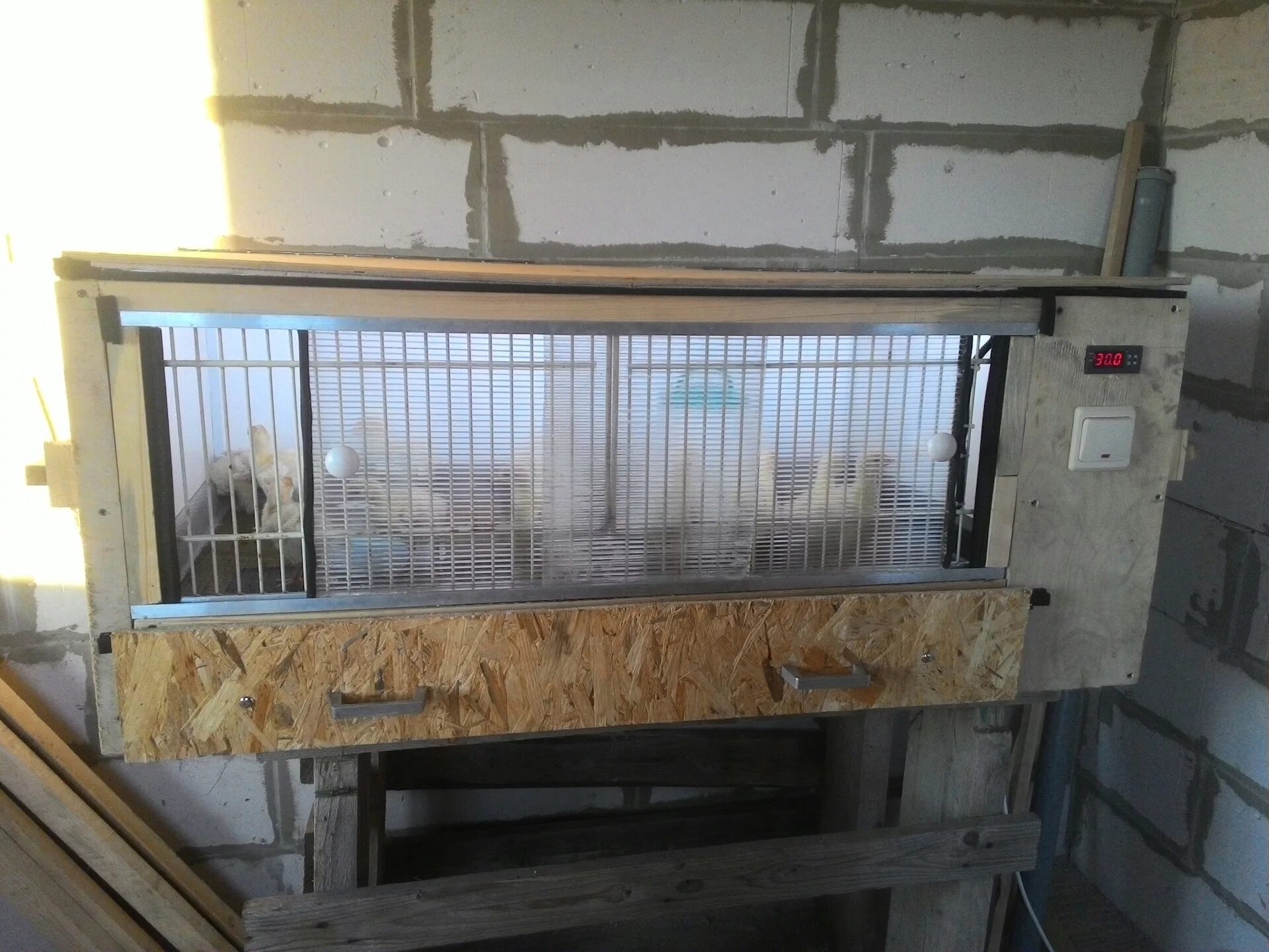 Брудер для индюшат размеры. Брудер для индюшат размеры. Брудер для цыплят 150 50. Клетка брудер для цыплят бройлеров. Брудер для 30 индюшат.