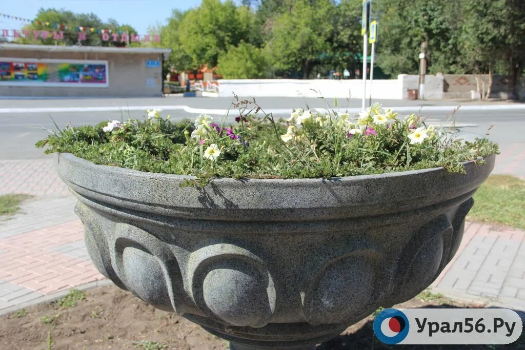 Цветы среднеуральск. Цветы кировград. Цветочная точка краснокамск. Цветы из магазина. Цветы из магазина.