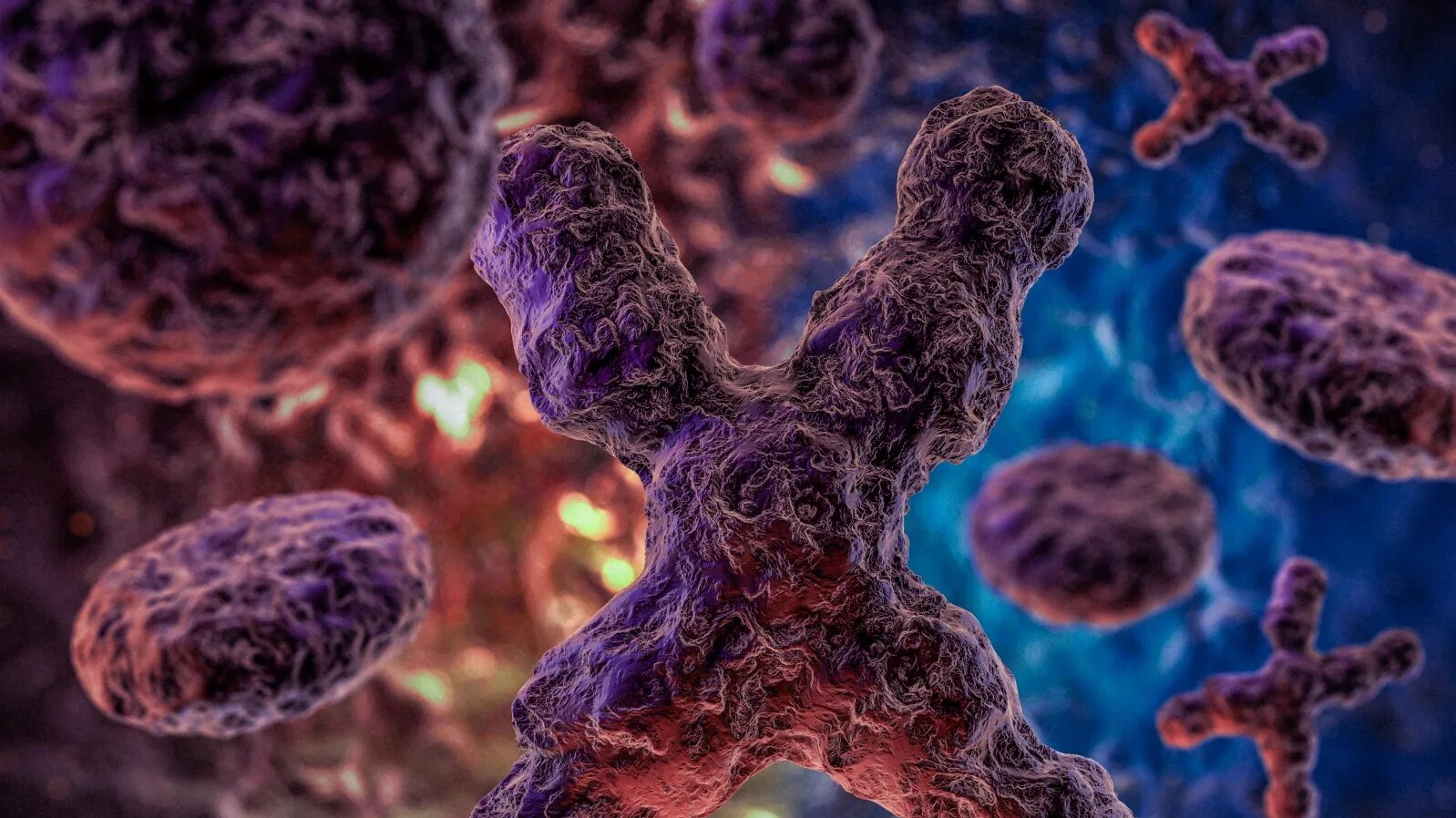 Фрагментация хромосом. Мутация клеток. Синдром вернера патогенез. Изменение структуры днк. Ген вызывающий мутацию.