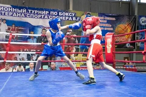 Турнир каратаева по боксу