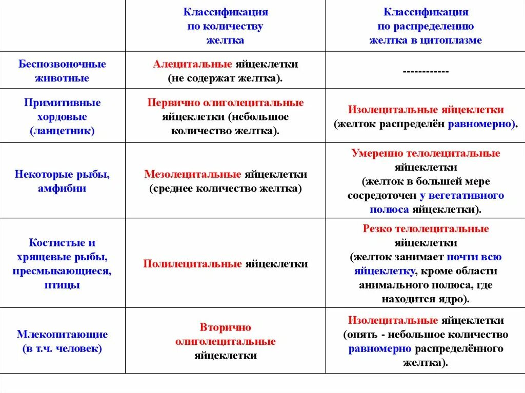 Типы яйцеклеток по количеству и распределению желтка таблица фото - PwCalc.ru
