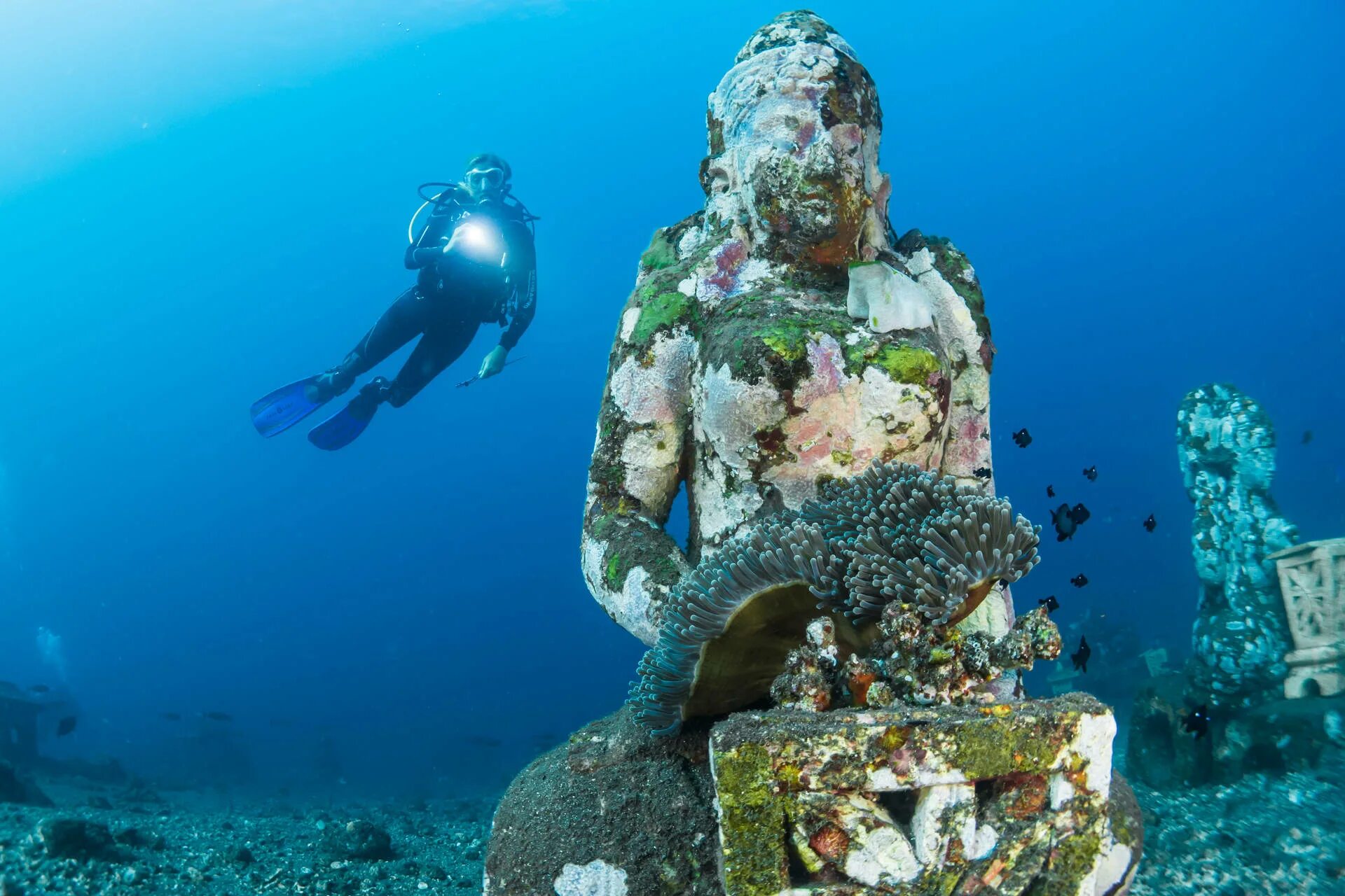 9 dives
