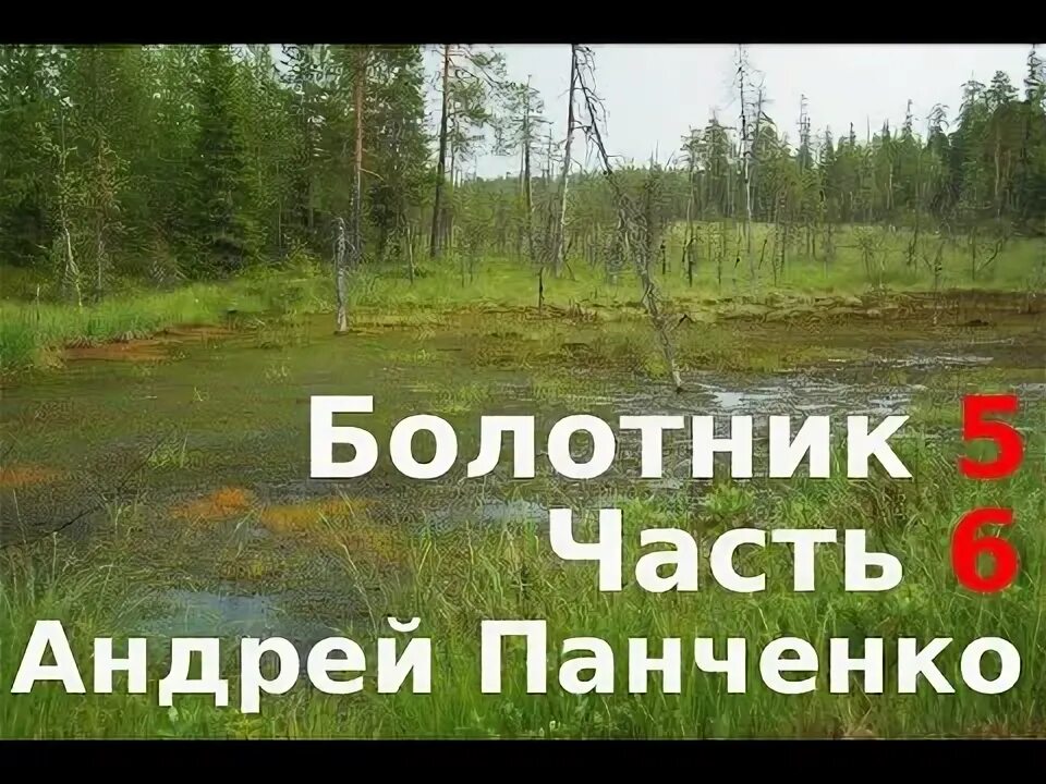 Панченко болотник 5 аудиокнига. Панченко болотник 5 аудиокнига. Will аудиокнига. Панченко болотник 5 аудиокнига. Болотник книга.