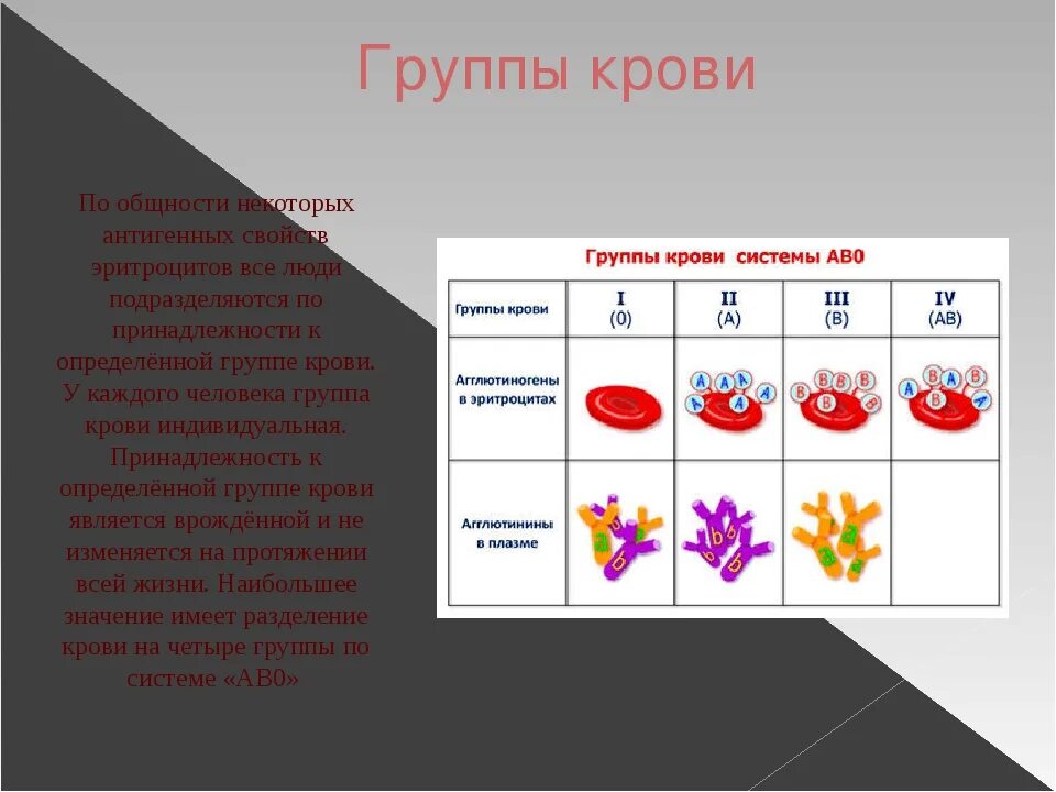 Группы крови презентация. Задачи на группы крови генетика. Группы крови задачи по генетике. Нулевой резус-фактор крови.