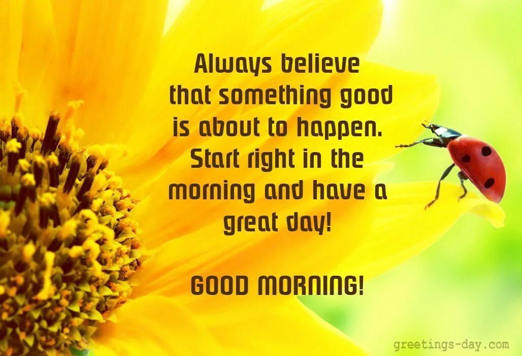 Good morning got. Good morning Greetings. Good Day Wishes. Good morning Wishes. Wishes for the Day.