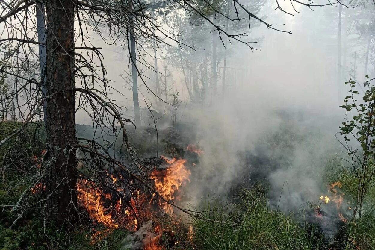 Заходишь в лесхоз и сразу чувствуешь. Лесные и торфяные пожары. Лесные, степные, торфяные, подземные пожары. Пожар торфяников. Торфторфиные пожарыин.