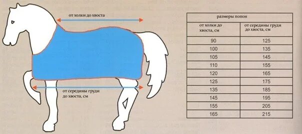 Какая длина лошади. Как измерить лошадь для попоны. Размер попоны для лошади таблица. Как измерить размер попоны для лошади. Размеры попон для лошадей.