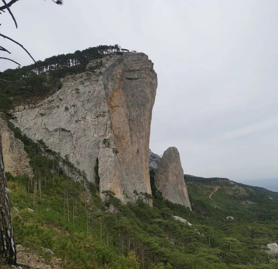 След скала. Белая скала симферополь. Срез скал в древности. Следы в скалах абразив. Странные камни.