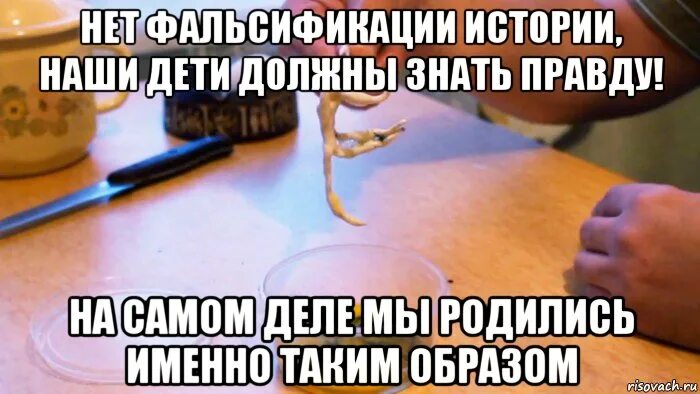 Никогда больше не буду доброй