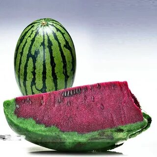 Фиалковая дыня