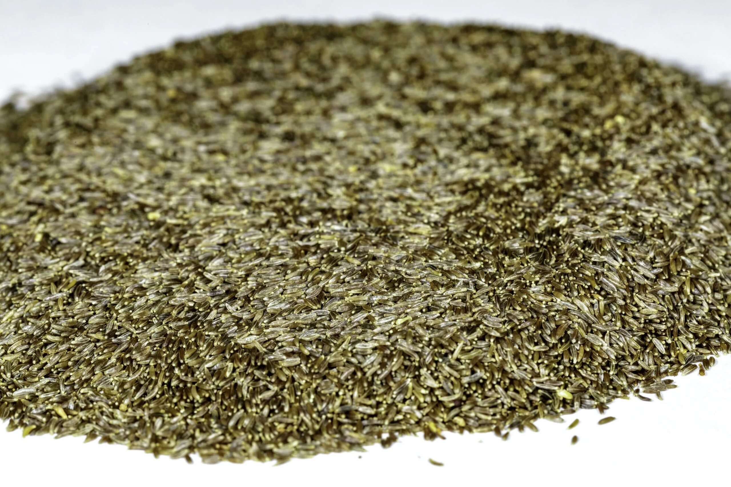 семена полыней. семена полыни. полынь горькая семена. марь семена. семена полыней.