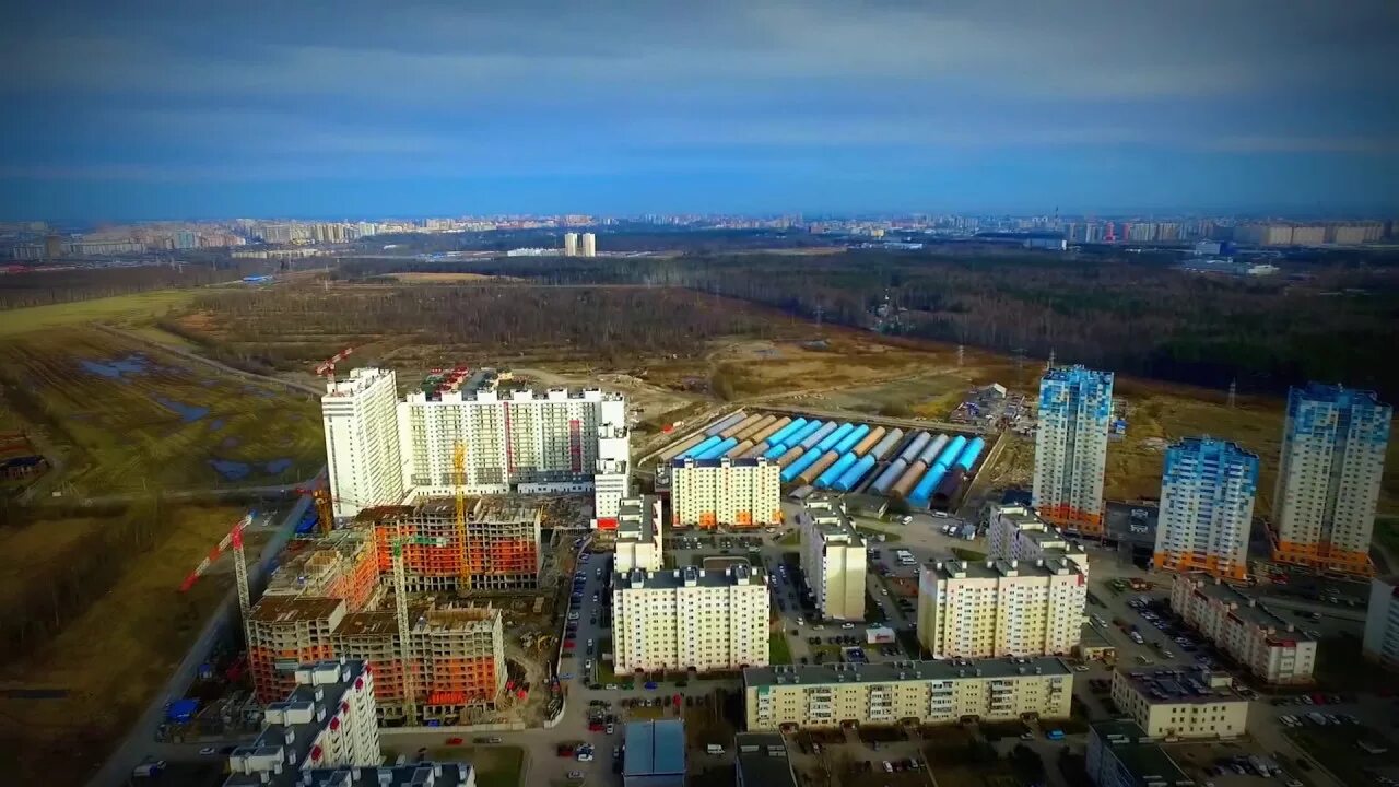 Посёлок парголово санкт-петербург. Осиновая роща санкт-петербург. Осиновая роща санкт-петербург. Северная долина у метро парнас. Поселок парголово.