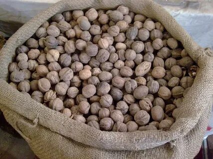 Nuts sort