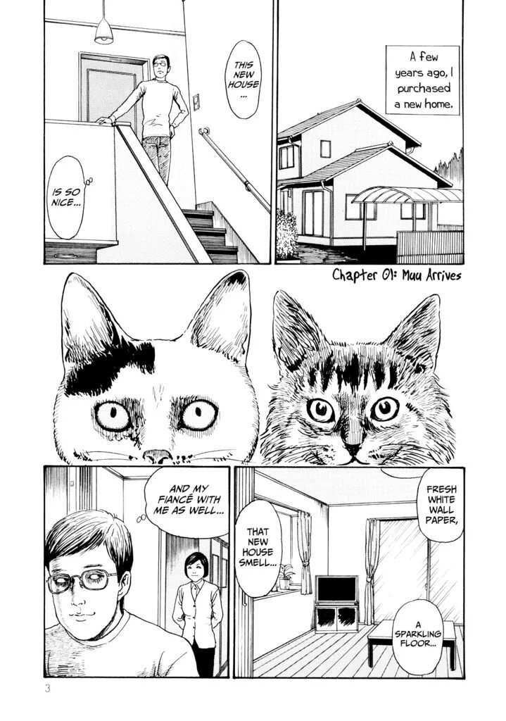 Nekojiru udon. Дзюндзи ито "кошачий дневник". Тёмный дворецкий себастьян с котами. Кот манга. Кукольная кошка манга.