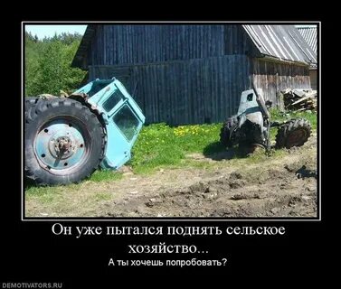 Статусы сельские