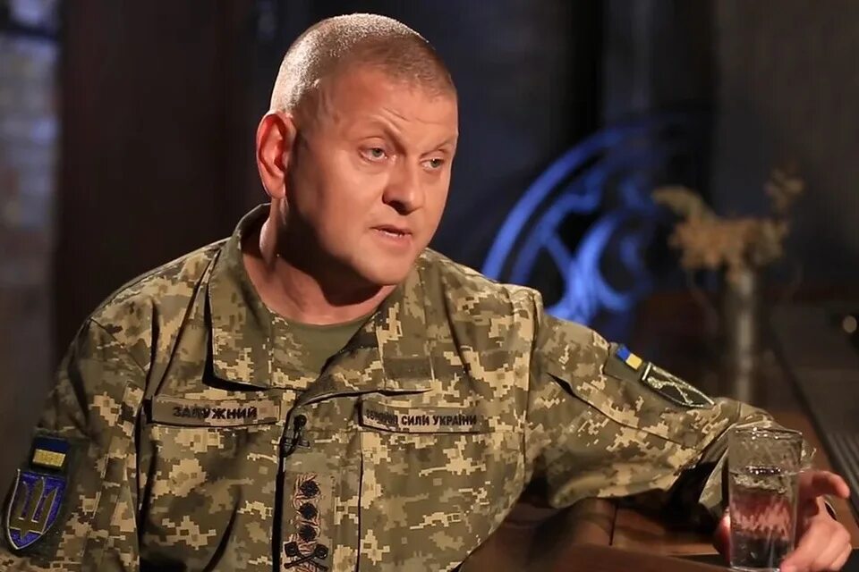 Валерием федоровичем залужным