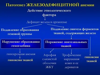 Механизм развития анемии