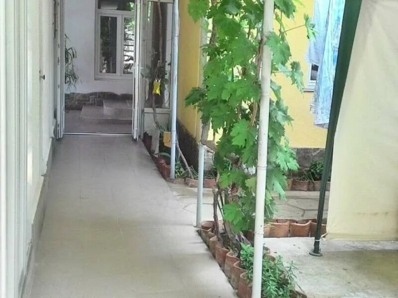 Судак крым улица бирюзова. Элегант судак улица бирюзова. Судак бирюзова 35. Судак улица бирюзова 58. Гостевой дом ул бирюзова.