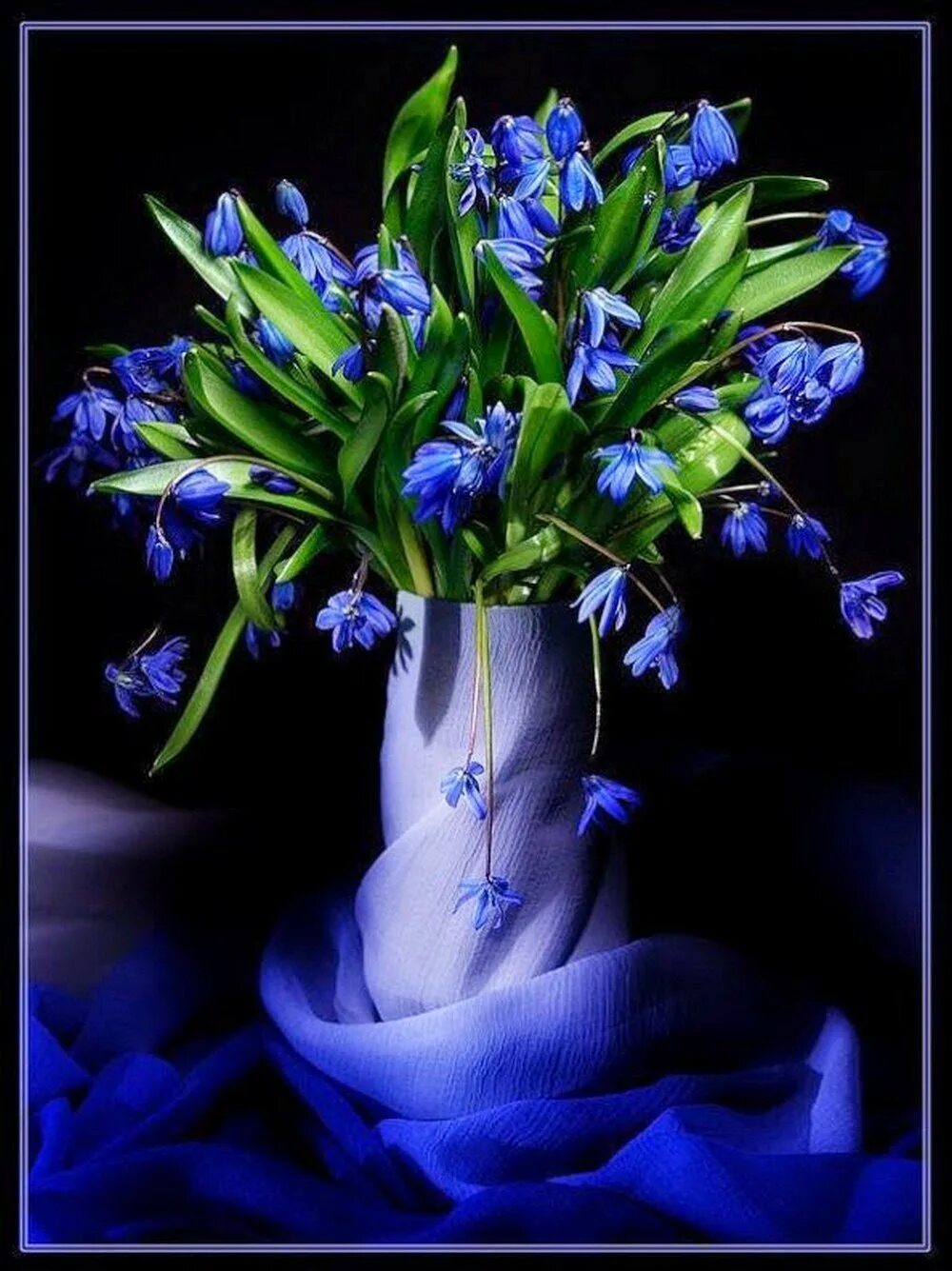 Красивые открытки с мартовским вечером. Синие цветы. Букет синих цветов. Синие подснежники букет. Букет весенних цветов.