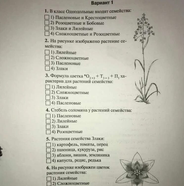 Тест семейства растений 7 класс с ответами. Тест по растениям. тест по биологии. тест по биологии 6 класс. биология 6 класс тесты.