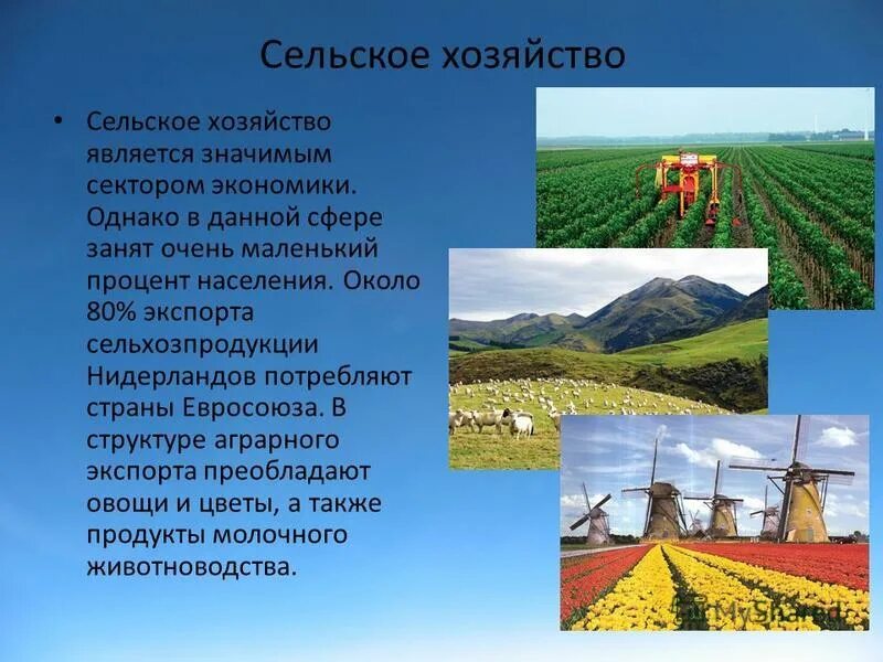 Аграрная структура какие страны
